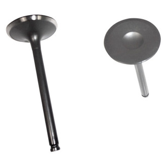 DNJ Engine Components® - Intake Valve
