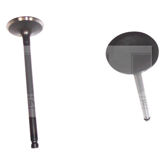 DNJ Engine Components® - Intake Valve