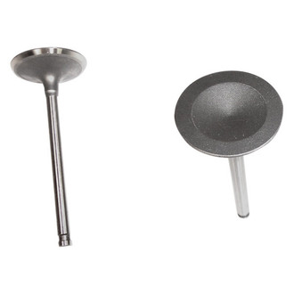 DNJ Engine Components® - Intake Valve