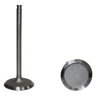 DNJ Engine Components® - Intake Valve