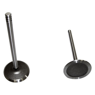 DNJ Engine Components® - Intake Valve