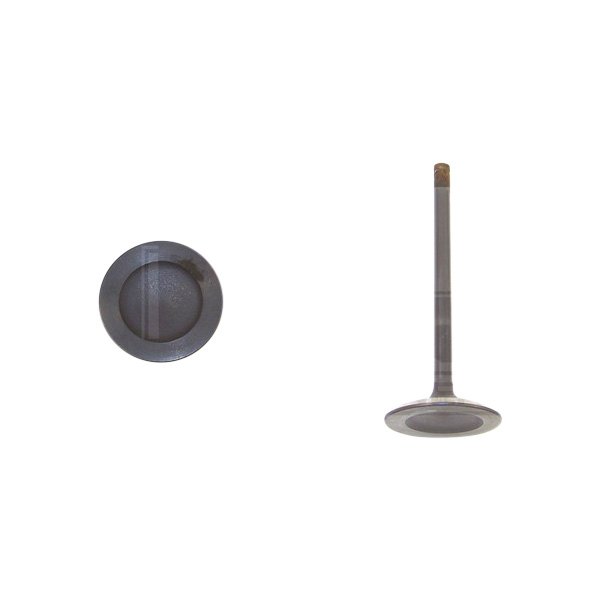 DNJ Engine Components® - Engine Intake Valve