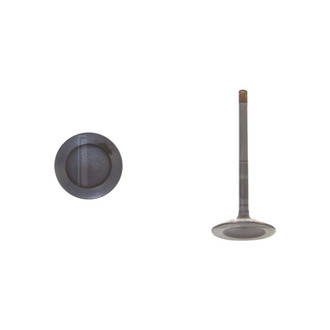 DNJ Engine Components® - Intake Valve