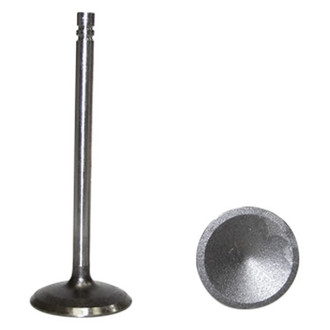 DNJ Engine Components® - Intake Valve