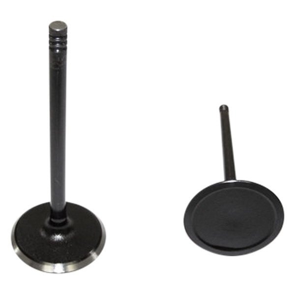 DNJ Engine Components® - Engine Intake Valve