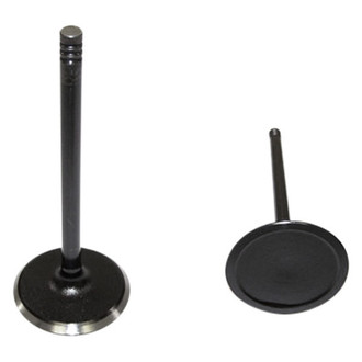 DNJ Engine Components® - Intake Valve