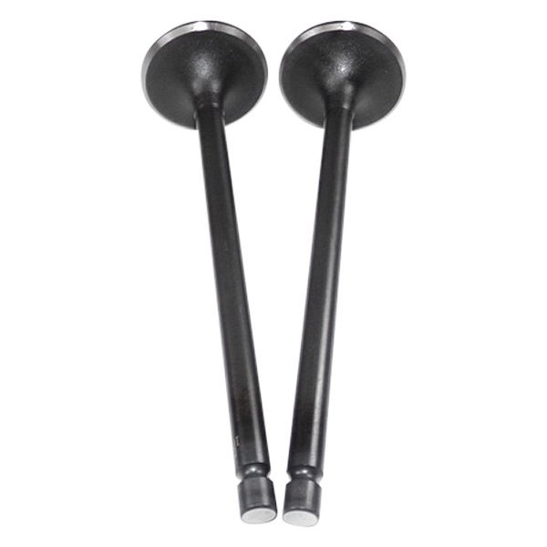 DNJ Engine Components® - Engine Intake Valve