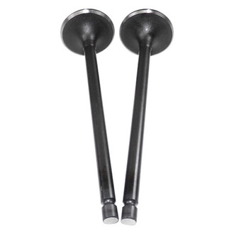 DNJ Engine Components® - Intake Valve