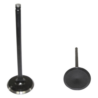DNJ Engine Components® - Intake Valve