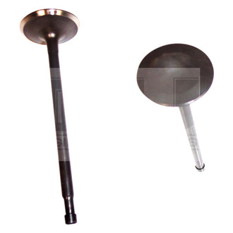 DNJ Engine Components® - Intake Valve