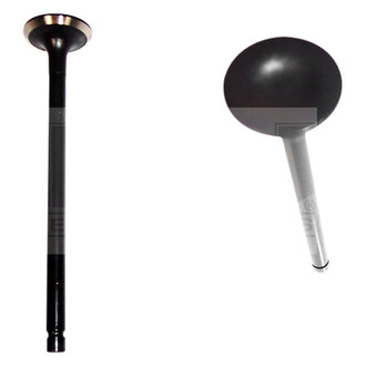 DNJ Engine Components® - Intake Valve
