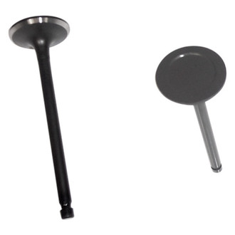 DNJ Engine Components® - Intake Valve