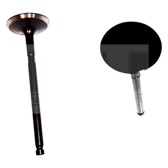 DNJ Engine Components® - Intake Valve