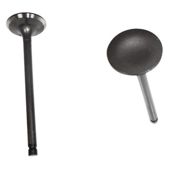 DNJ Engine Components® - Intake Valve