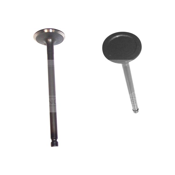 DNJ Engine Components® - Engine Intake Valve