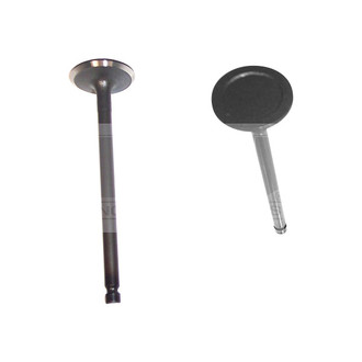 DNJ Engine Components® - Intake Valve