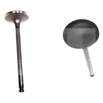 DNJ Engine Components® - Intake Valve