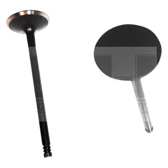 DNJ Engine Components® - Intake Valve