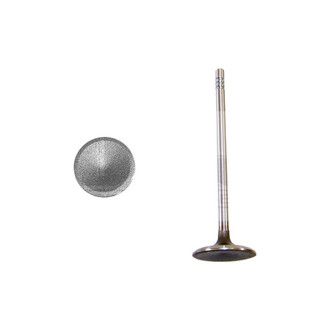 DNJ Engine Components® - Intake Valve