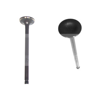 DNJ Engine Components® - Intake Valve