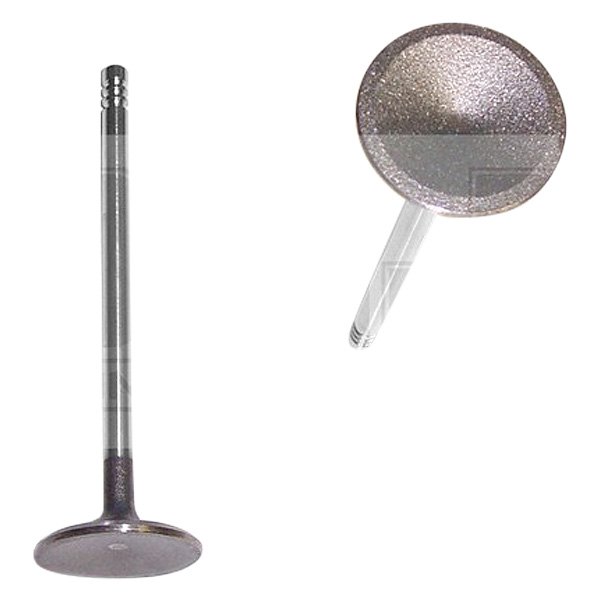 DNJ Engine Components® - Engine Intake Valve