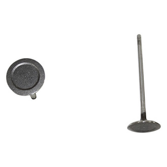 DNJ Engine Components® - Intake Valve