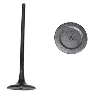 DNJ Engine Components® - Intake Valve