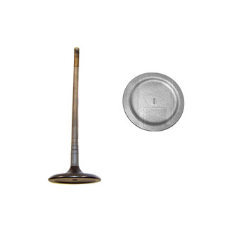 DNJ Engine Components® - Intake Valve