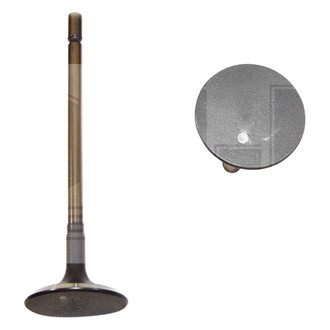 DNJ Engine Components® - Intake Valve