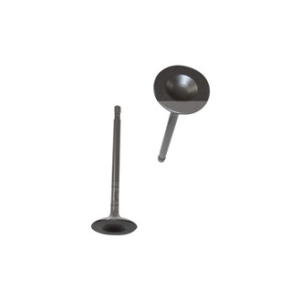 DNJ Engine Components® - Intake Valve