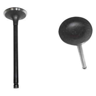 DNJ Engine Components® - Intake Valve