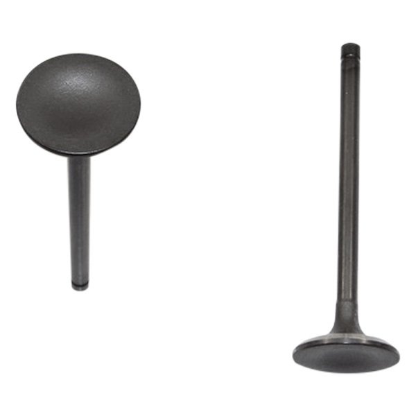 DNJ Engine Components® - Engine Intake Valve