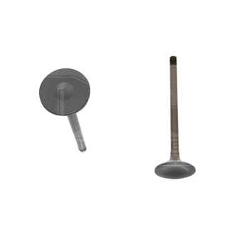 DNJ Engine Components® - Intake Valve