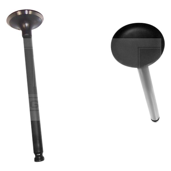 DNJ Engine Components® - Engine Intake Valve