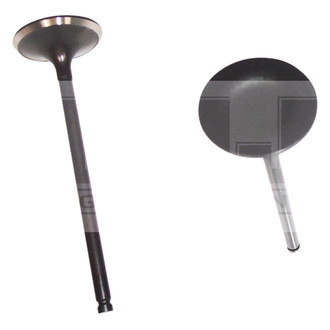 DNJ Engine Components® - Intake Valve