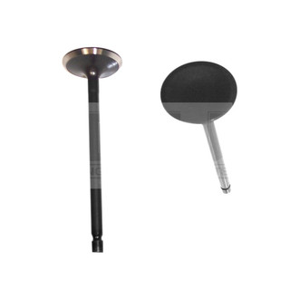 DNJ Engine Components® - Intake Valve