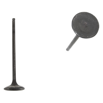 DNJ Engine Components® - Intake Valve
