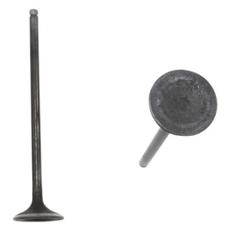DNJ Engine Components® - Intake Valve