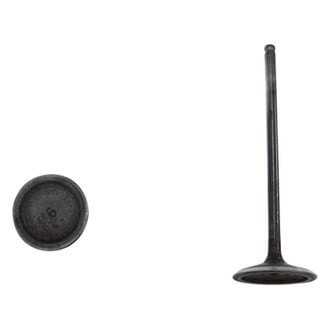 DNJ Engine Components® - Intake Valve