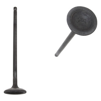 DNJ Engine Components® - Intake Valve