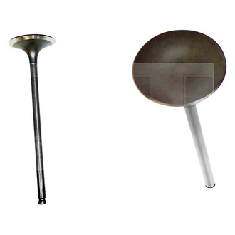 DNJ Engine Components® - Intake Valve