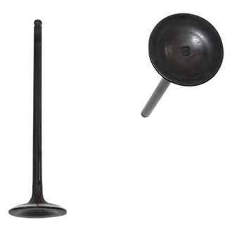 DNJ Engine Components® - Intake Valve
