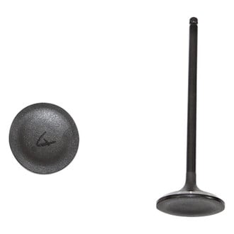 DNJ Engine Components® - Intake Valve