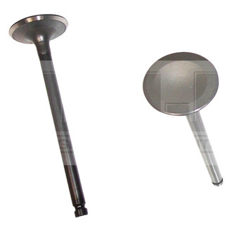 DNJ Engine Components® - Intake Valve