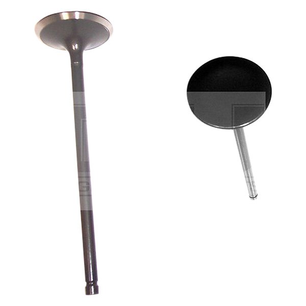 DNJ Engine Components® - Engine Intake Valve