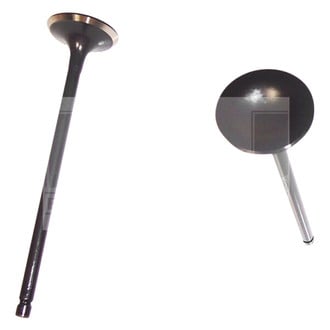 DNJ Engine Components® - Intake Valve