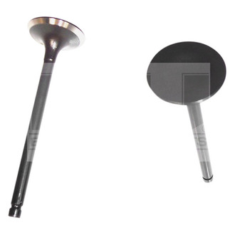 DNJ Engine Components® - Intake Valve