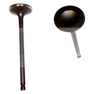 DNJ Engine Components® - Intake Valve