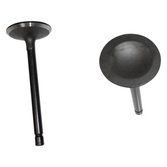 DNJ Engine Components® - Intake Valve