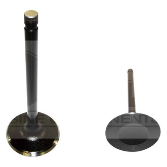 DNJ Engine Components® - Intake Valve